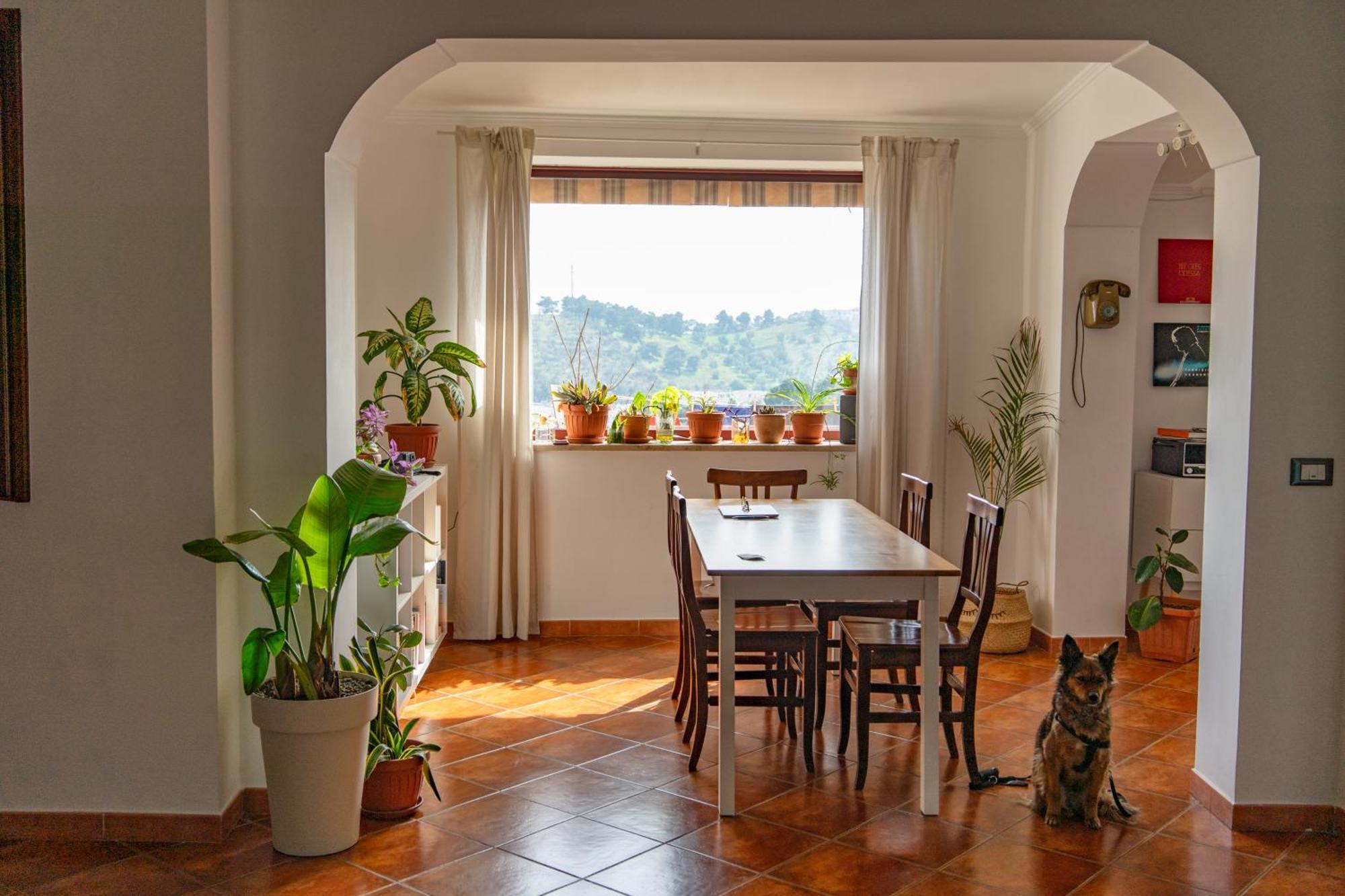 Coliving Together Gargano Βιέστε Εξωτερικό φωτογραφία